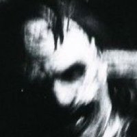 Lillo (@art_lillo) 's Twitter Profile