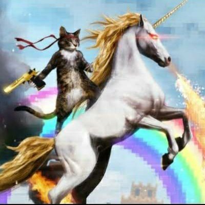 Just a cat meandering through this hellscape, knocking shit off the path along the way🐱🐱🐱