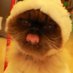 过分美丽的精神状态 (@gfmldjszt) Twitter profile photo 过分美丽的精神状态 (@gfmldjszt) Twitter profile photo