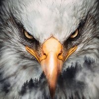🇺🇸Fed up American🇺🇸 (@_mrgeno_) 's Twitter Profile