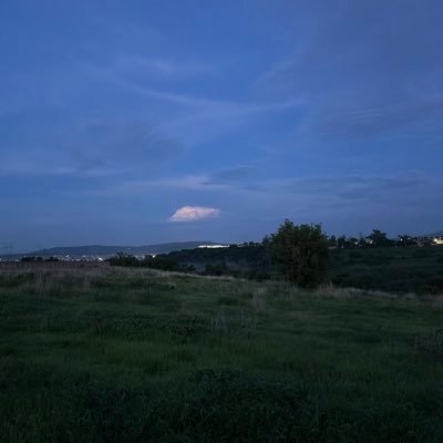 OGallegos3's profile picture. #freeolaf
アキラ