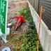 話題のハウスメーカーの土圧が凄すぎる件 (@dorobunestore) Twitter profile photo 話題のハウスメーカーの土圧が凄すぎる件 (@dorobunestore) Twitter profile photo