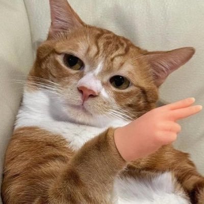 WaterMylynn's profile picture. Alright, hello!