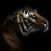 Shrewd Sapien (@shivpuli) Twitter profile photo Shrewd Sapien (@shivpuli) Twitter profile photo