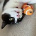 Dex_Le_Cat (@dexterlepingers) Twitter profile photo Dex_Le_Cat (@dexterlepingers) Twitter profile photo