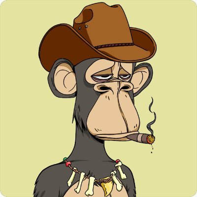 10+ years in Ecommerce. 🐵 #BAYC #MAYC 🪙 $BTC + $ETH ᵍᵐ