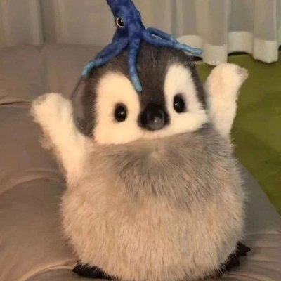 buskikdev's profile picture. Creating by coding!
