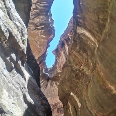 zambroda's profile picture. Go-getter,firm believer in life while in pursuit of happiness ❤️