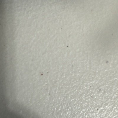 satya_557's profile picture. 