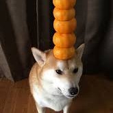 stackstacki's profile picture. 