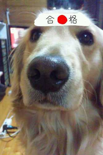 MaaSkc's profile picture. 