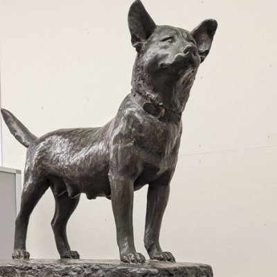 GNN_Tama's profile picture. 山口真帆さんを応援しています。