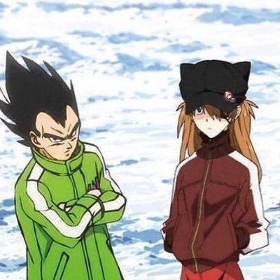 @Vegeta_Enjoyer