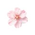 ُ (@illl2i_) Twitter profile photo ُ (@illl2i_) Twitter profile photo