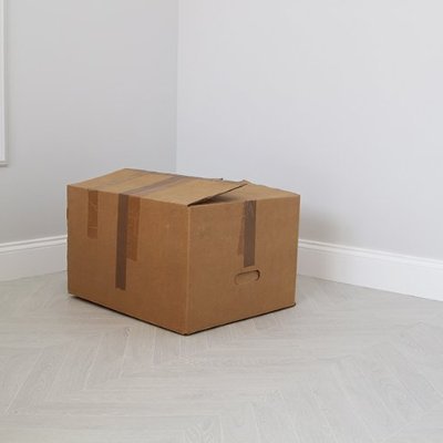 MattewT88845's profile picture. i browse and thats it, feel free to send me a shitpost in a dm or smth.
no reason to follow me unless we chill or smth. otherwise i'll assume you're a bot.