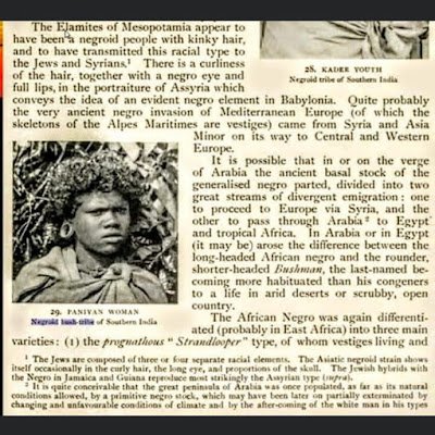 Brandon1335959's profile picture. 