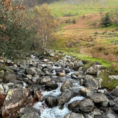 georgelyndong's profile picture. 