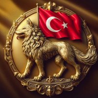 Mehmet (@mkurt24) 's Twitter Profile