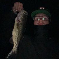 Christopher_Elliott (@christo29381883) 's Twitter Profile