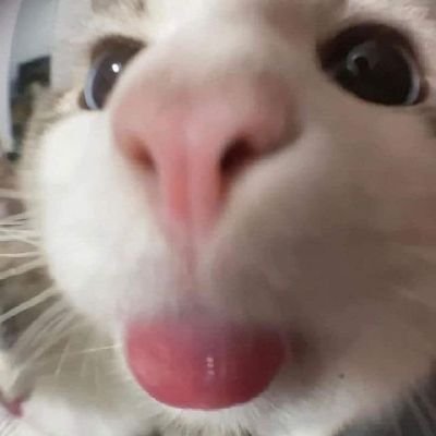 D_o_d14's profile picture. 