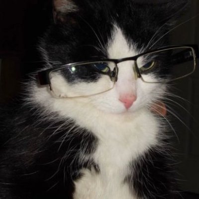 noxcrimson_'s profile picture. 🔞
đăng cho vui, nào vui mới đăng.