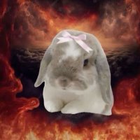 ash_lee_sucks (@uracowardd) 's Twitter Profile