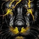 aslan pençesi (@aslanpencesi01) Twitter profile photo