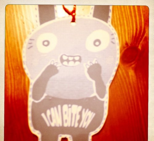 amirafox2's profile picture. 