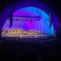 AVA lib (@joe86152193) 's Twitter Profile