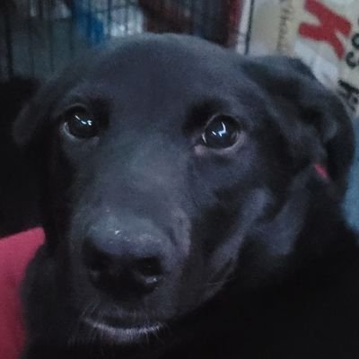 Jrive1013's profile picture. New Twitter. Hi.