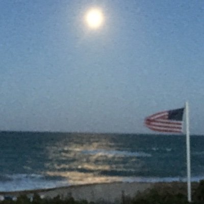 Megmoe43's profile picture. TRUMP/VANCE 2024 🇺🇸 MAGA 1A 2A AMERICA FIRST    I love to  joke around, sarcasm and general smart assery.