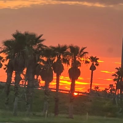 morph0418's profile picture. 