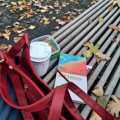 studieswithbee's profile picture. ` 💌 17  📎 - digital diary .°  📚 #studytwt
instagram, youtube - studies with bee