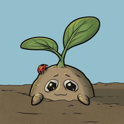 Spud Pub Inc. Profile