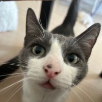 ClapzeyM0m (@agerholmtanja) 's Twitter Profile
