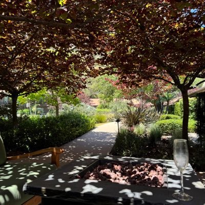 M4joy2024's profile picture. 