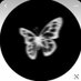 🦋 (@mo60901) Twitter profile photo 🦋 (@mo60901) Twitter profile photo
