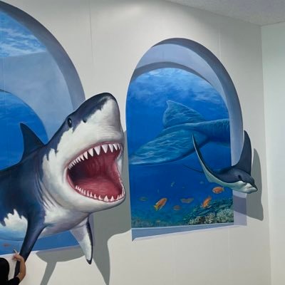 donpachi810's profile picture. 