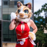 Peanut ➡️DENFUR25 (@peanut_calico) 's Twitter Profile Photo Peanut ➡️DENFUR25 (@peanut_calico) 's Twitter Profile Photo