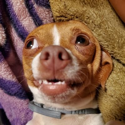 tetsuma99's profile picture. In my broke era