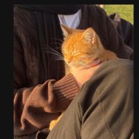 Merdumgiriz (@mer_dumgriz) 's Twitter Profile