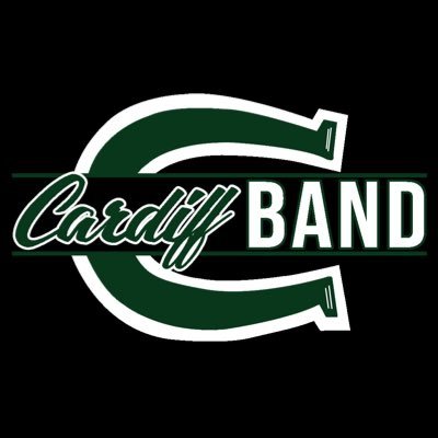 Cardiff Colt Band Profile