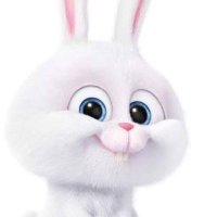 🐰 (@littlebunny_19_) 's Twitter Profile Photo 🐰 (@littlebunny_19_) 's Twitter Profile Photo