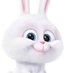 🐰 (@littlebunny_19_) Twitter profile photo 🐰 (@littlebunny_19_) Twitter profile photo