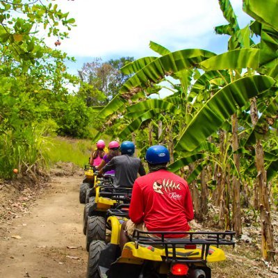 EstebanCon29's profile picture. 