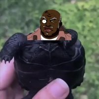 Black Turtle eSports (@blackturtleow) 's Twitter Profile