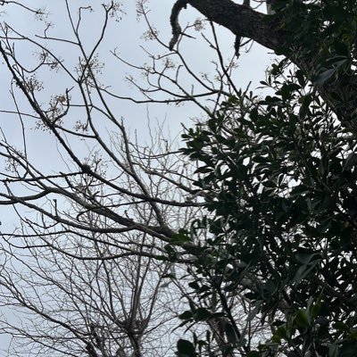 sunny05177's profile picture. 在这里:@xw186