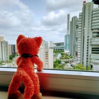 あお (@ao_hongasuki) 's Twitter Profile