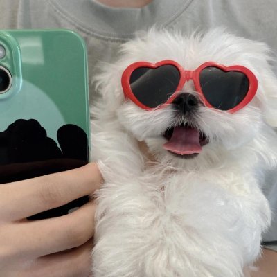 AmcsfOrtiz's profile picture. 日本語を勉強してニュースアカウントを見ます。
日本語でツイートすることにしました。
食べ物と旅行、株式投資、仮想通貨が好きです。
私も日本語の練習を手伝ってもらえると嬉しいです。(ಥ _ ಥ)
新しい人と知り合うのも楽しいですね,ハハハ😀
よろしくお願いします