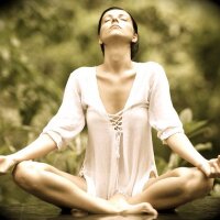 Organic Tranquility (@orgtranquility) 's Twitter Profile
